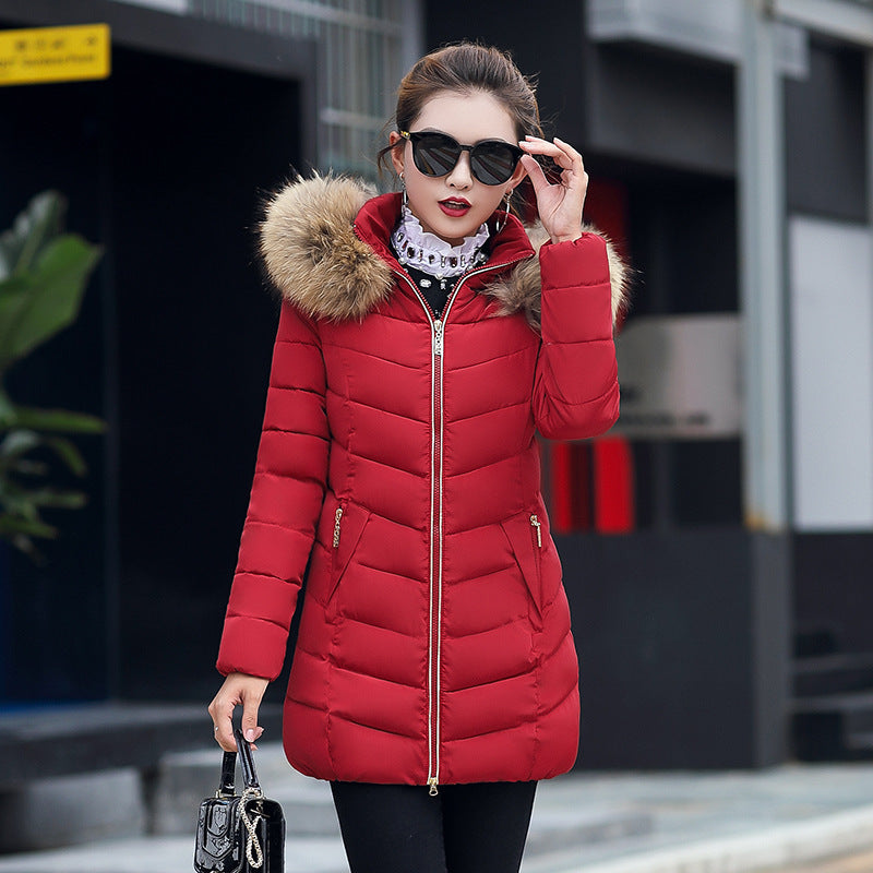 Mid-length Slim Cotton Jacket Large Fur Collar Down Jacket